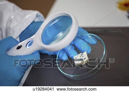 Food safety laboratory View Large Photo Image Stock Image - Food safety laboratory. Fotosearch