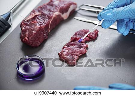 Stock Image - Food safety laboratory. Fotosearch