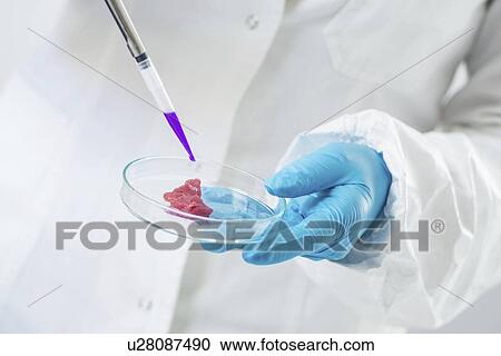 Food safety laboratory View Large Photo Image Stock Image - Food safety laboratory. Fotosearch
