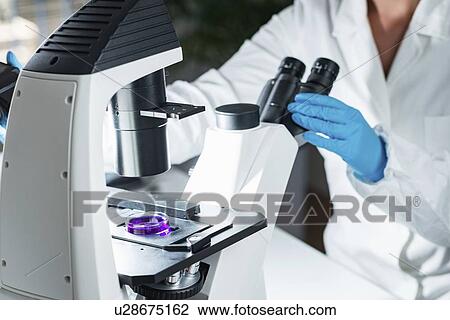 Stock Image - Food safety laboratory. Fotosearch