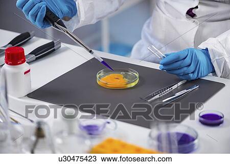 Stock Image - Food safety laboratory. Fotosearch