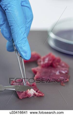 Stock Image - Food safety laboratory. Fotosearch