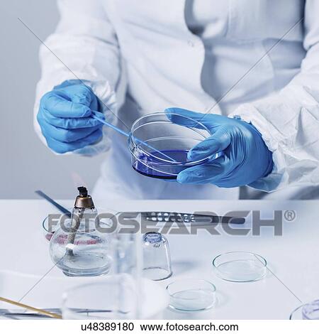Food safety laboratory View Large Photo Image Stock Image - Food safety laboratory. Fotosearch