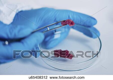 Stock Image - Food safety laboratory. Fotosearch