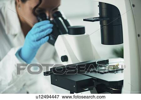 Stock Photo - Food safety laboratory. Fotosearch
