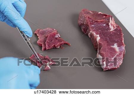 Food safety laboratory View Large Photo Image Stock Photo - Food safety laboratory. Fotosearch
