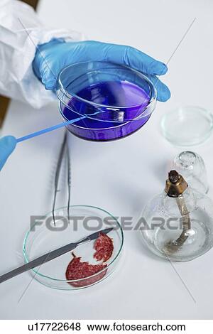 Food safety laboratory View Large Photo Image Stock Photo - Food safety laboratory. Fotosearch