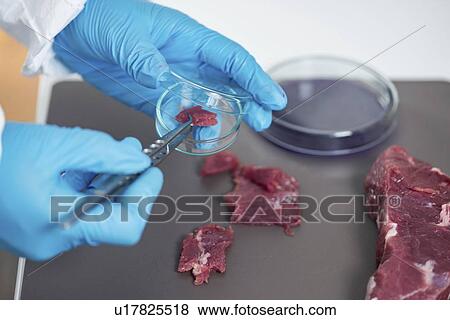 Stock Photo - Food safety laboratory. Fotosearch
