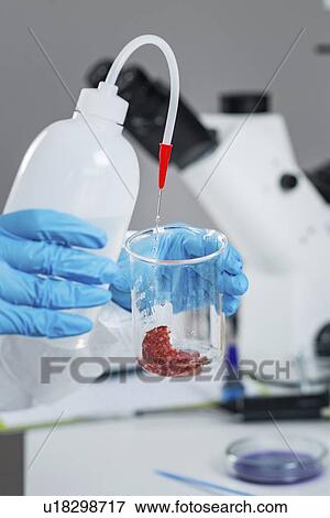 Stock Photo - Food safety laboratory. Fotosearch