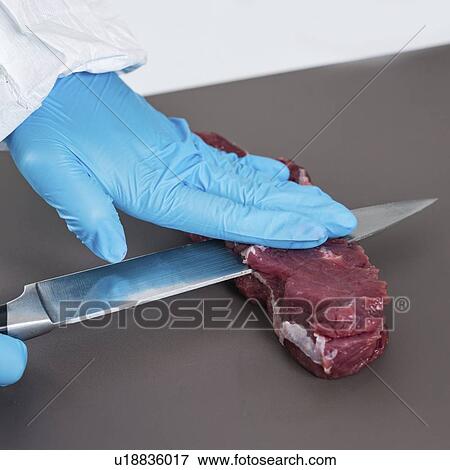 Stock Photo - Food safety laboratory. Fotosearch
