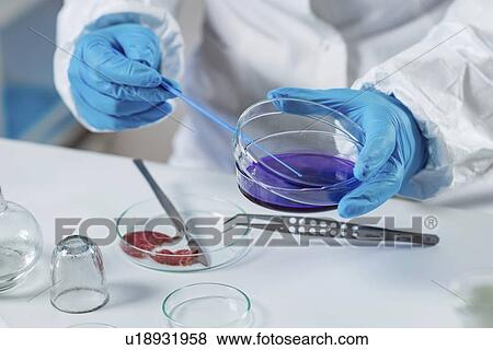 Stock Photo - Food safety laboratory. Fotosearch