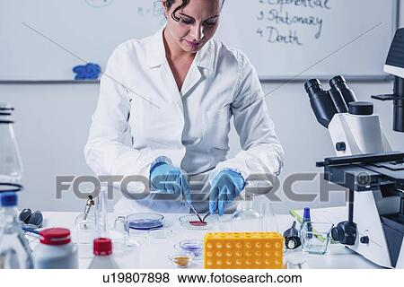 Stock Photo - Food safety laboratory. Fotosearch
