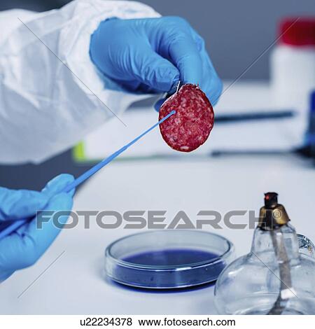 Stock Photo - Food safety laboratory. Fotosearch