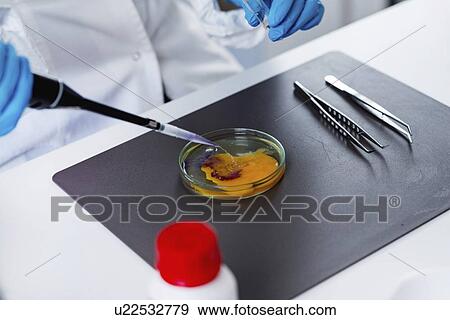 Food safety laboratory View Large Photo Image Stock Photo - Food safety laboratory. Fotosearch
