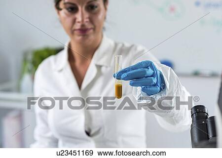 Stock Photo - Food safety laboratory. Fotosearch