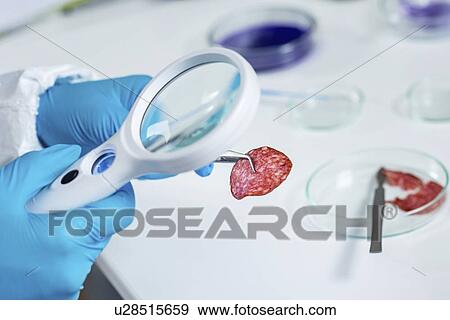 Stock Photo - Food safety laboratory. Fotosearch