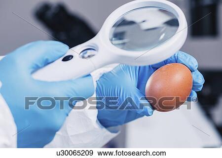 Stock Photo - Food safety laboratory. Fotosearch