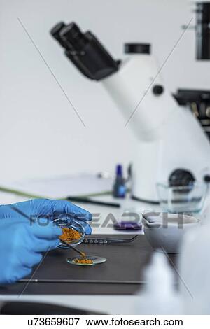 Stock Photo - Food safety laboratory. Fotosearch