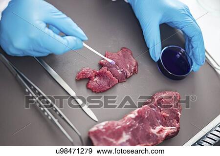 Food safety laboratory View Large Photo Image Stock Photo - Food safety laboratory. Fotosearch