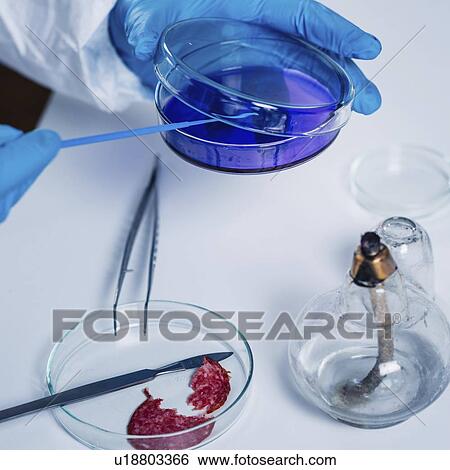 Stock Photograph - Food safety laboratory. Fotosearch