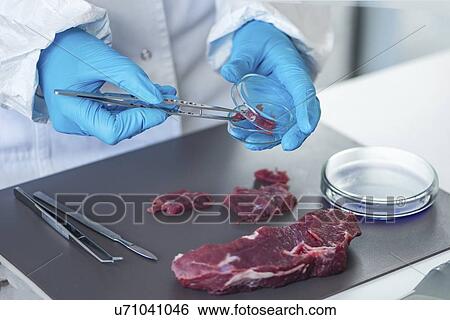 Stock Photograph - Food safety laboratory. Fotosearch