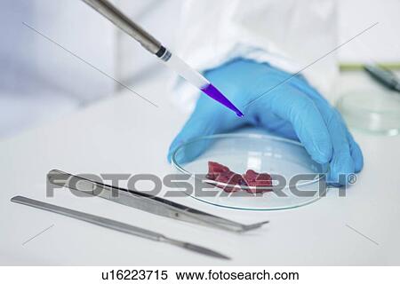 Food safety laboratory View Large Photo Image Stock Photography - Food safety laboratory. Fotosearch