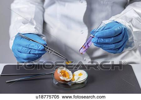 Stock Photography - Food safety laboratory. Fotosearch