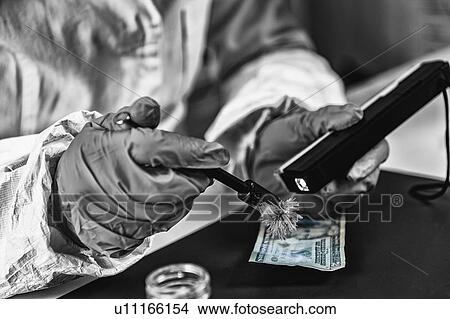 Picture - Forensic expert examining crime scene evidence. Fotosearch