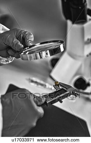 Forensic expert examining crime scene evidence View Large Photo Image Stock Image - Forensic expert examining crime scene evidence. Fotosearch