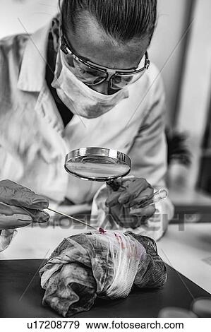 Stock Photo - Forensic expert examining crime scene evidence. Fotosearch