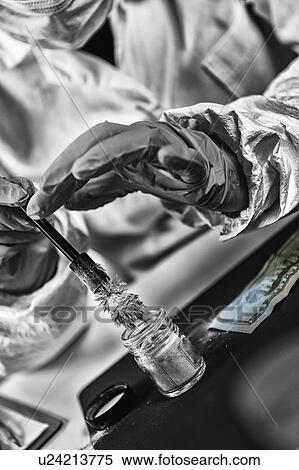 Stock Photography - Forensic expert examining crime scene evidence. Fotosearch