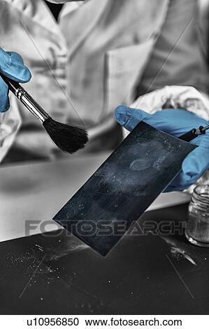 Forensic expert working in forensic science laboratory View Large Photo Image Stock Image - Forensic expert working in forensic science laboratory. Fotosearch