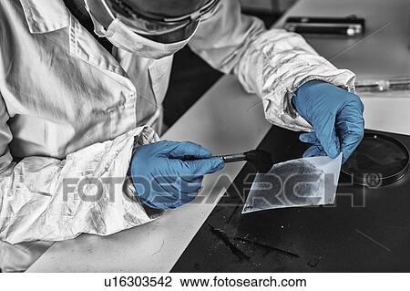 Stock Image - Forensic expert working in forensic science laboratory. Fotosearch