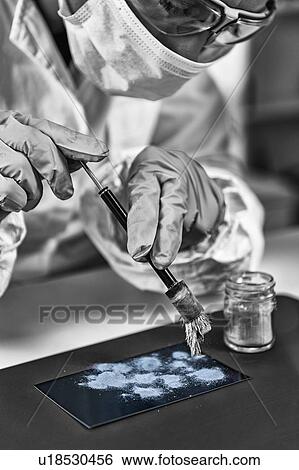 Stock Photograph - Forensic expert working in forensic science laboratory. Fotosearch