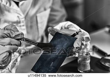 Stock Photography - Forensic expert working in forensic science laboratory. Fotosearch