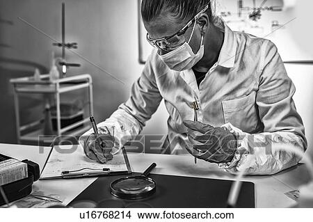 Forensic investigator examining evidence in lab View Large Photo Image Picture - Forensic investigator examining evidence in lab. Fotosearch