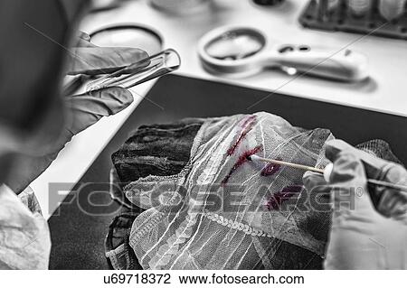 Forensic investigator examining evidence in lab View Large Photo Image Stock Image - Forensic investigator examining evidence in lab. Fotosearch