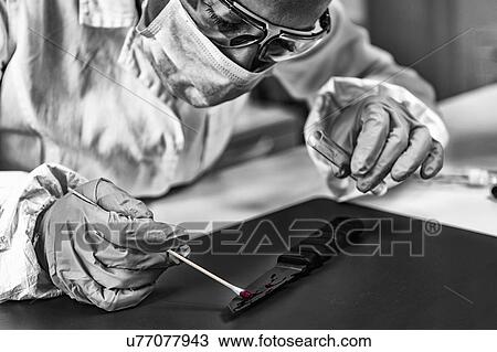 Stock Image - Forensic investigator examining evidence in lab. Fotosearch