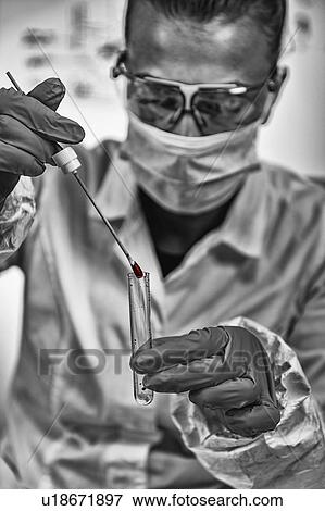 Stock Photo - Forensic investigator examining evidence in lab. Fotosearch