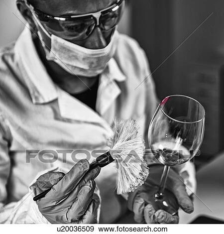 Forensic investigator examining evidence in lab View Large Photo Image Stock Photo - Forensic investigator examining evidence in lab. Fotosearch