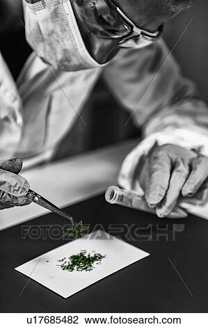 Forensic laboratory analysis View Large Photo Image Stock Image - Forensic laboratory analysis. Fotosearch