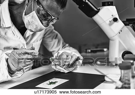 Stock Photography - Forensic laboratory analysis. Fotosearch