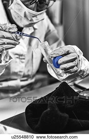 Forensic science laboratory View Large Photo Image Stock Image - Forensic science laboratory. Fotosearch