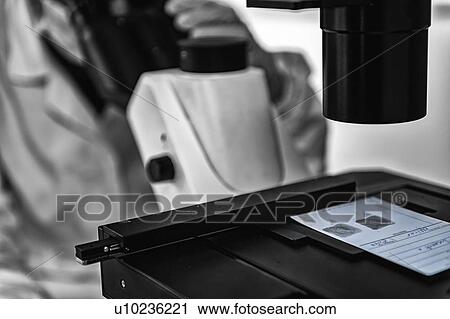 Forensic science View Large Photo Image Stock Image - Forensic science. Fotosearch