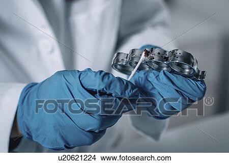 Picture - Forensics expert examining crime scene evidence. Fotosearch
