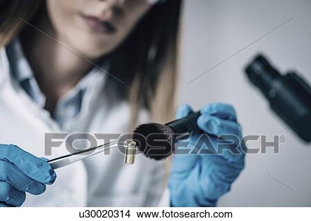 Picture - Forensics expert examining crime scene evidence. Fotosearch