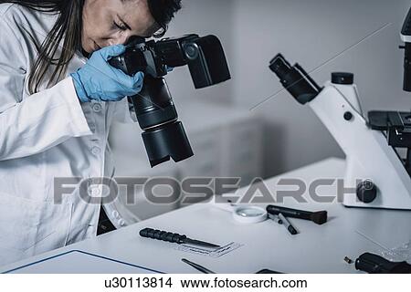 Forensics expert examining crime scene evidence View Large Photo Image Picture - Forensics expert examining crime scene evidence. Fotosearch