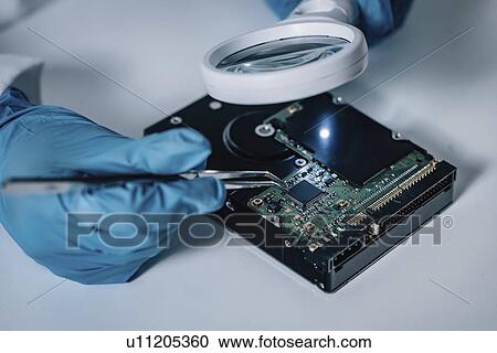 Forensics expert examining crime scene evidence View Large Photo Image Stock Image - Forensics expert examining crime scene evidence. Fotosearch