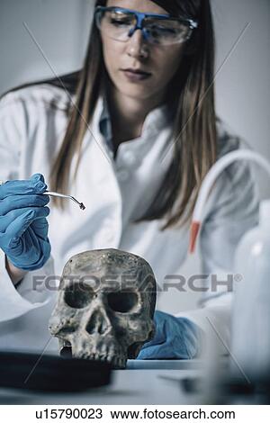 Forensics expert examining crime scene evidence View Large Photo Image Stock Image - Forensics expert examining crime scene evidence. Fotosearch