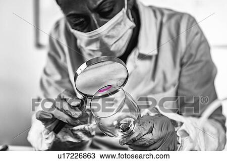 Stock Image - Forensics expert examining crime scene evidence. Fotosearch